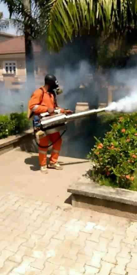Certified fumigation treatment in progress